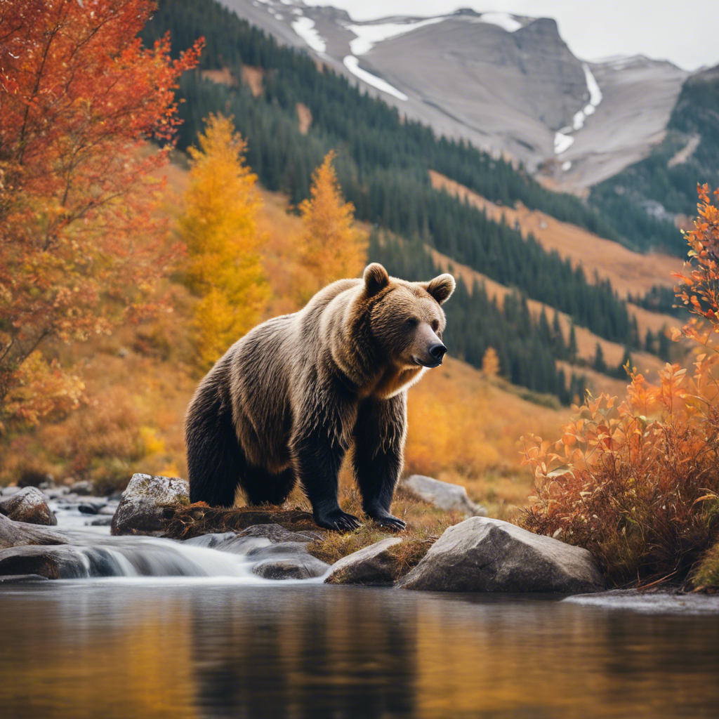 A bear resting by a mountain stream in autumn